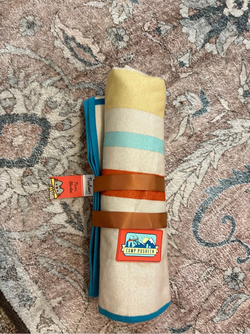 New Pusheen Picnic Blanket with Carrying Straps From Summer 2020 Box Exclusive